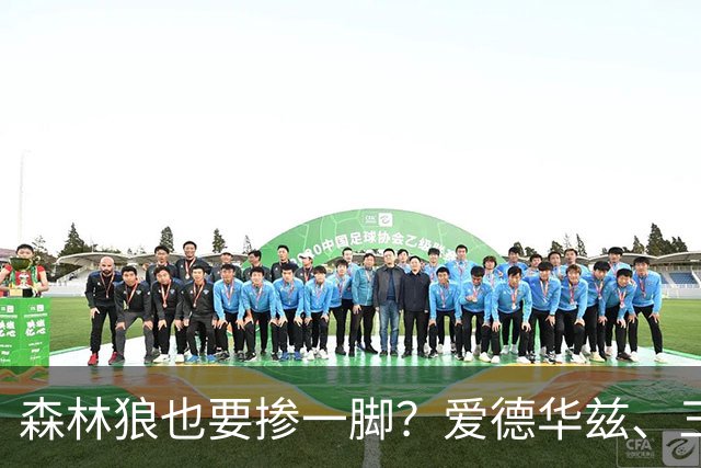 森林狼也要掺一脚？爱德华兹、三球联手招募，詹姆斯去向即将揭晓