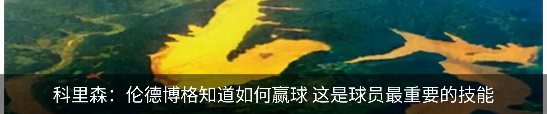 行业资讯