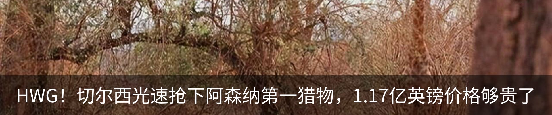 行业资讯